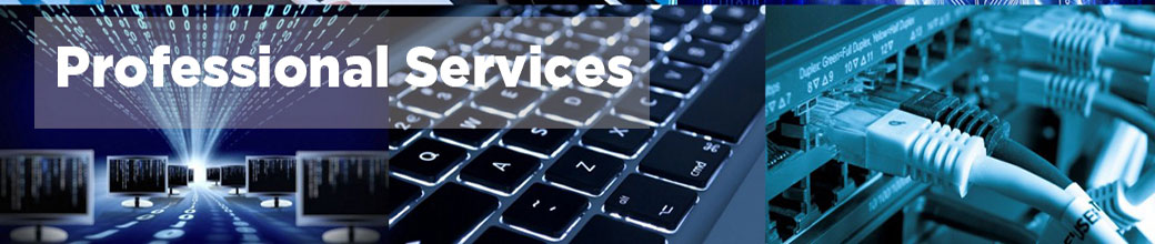 Professional Services