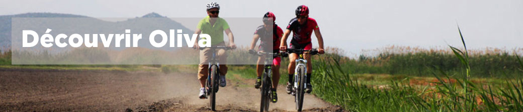 Discover Oliva