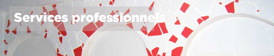 Professional Services