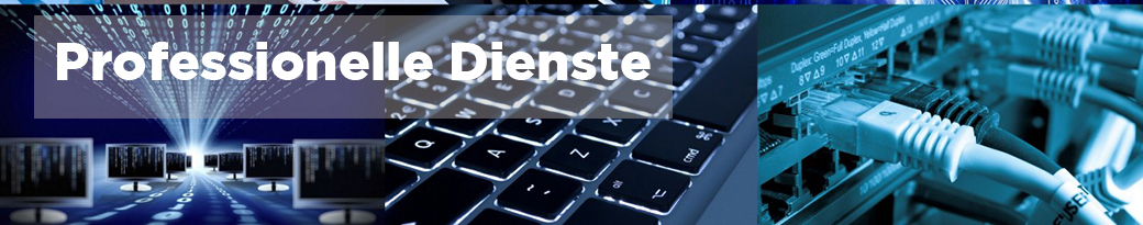 Professional Services