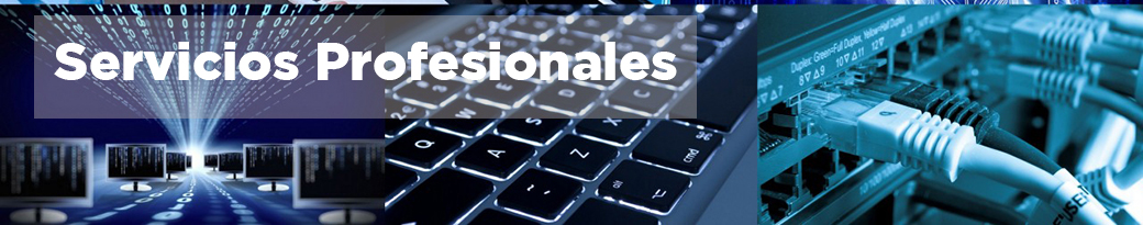 Professional Services